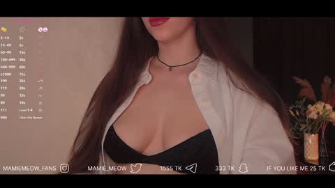 Snapshot of mamiemeow chatting on February 3, 1:30 pm Your Miss Alice online show from February 3, 1:30 pm