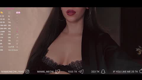 Snapshot of mamiemeow chatting on February 5, 2:48 pm Your Miss Alice online show from February 5, 2:48 pm