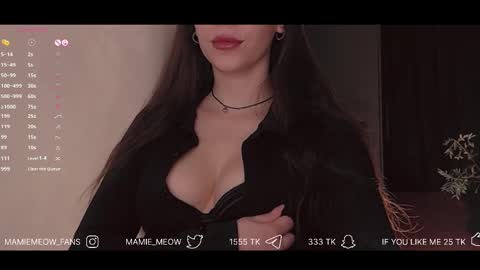 Snapshot of mamiemeow chatting on February 13, 7:13 am Your Miss Alice online show from February 13, 7:13 am