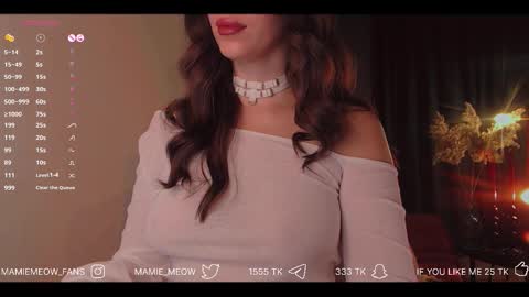 Snapshot of mamiemeow chatting on November 19, 5:40 am Your Miss Alice online show from November 19, 5:40 am