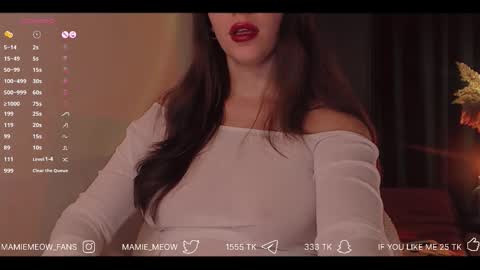 Snapshot of mamiemeow chatting on November 21, 7:51 am Your Miss Alice online show from November 21, 7:51 am