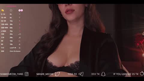 Snapshot of mamiemeow chatting on November 28, 7:00 am Your Miss Alice online show from November 28, 7:00 am