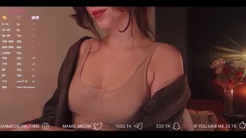 Snapshot of mamiemeow chatting on December 2, 4:51 am Your Miss Alice online show from December 2, 4:51 am