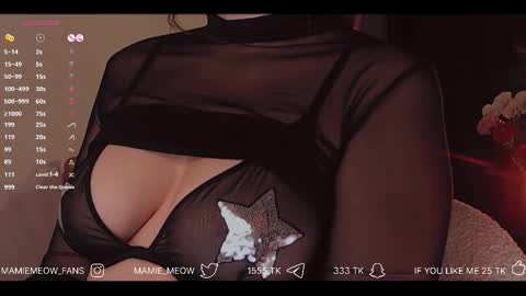 Snapshot of mamiemeow chatting on December 4, 3:43 pm Your Miss Alice online show from December 4, 3:43 pm