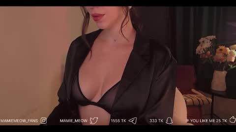 Snapshot of mamiemeow chatting on February 3, 3:17 pm Your Miss Alice online show from February 3, 3:17 pm