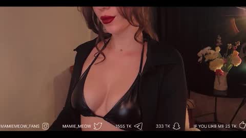 Snapshot of mamiemeow chatting on February 13, 7:15 am Your Miss Alice online show from February 13, 7:15 am