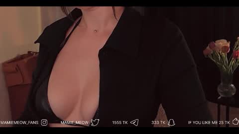 Snapshot of mamiemeow chatting on February 19, 6:20 am Your Miss Alice online show from February 19, 6:20 am