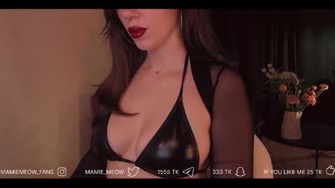 Snapshot of mamiemeow chatting on February 27, 6:08 pm Your Miss Alice online show from February 27, 6:08 pm