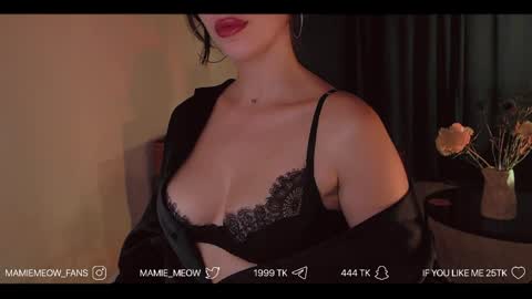 Snapshot of mamiemeow chatting on June 5, 2:12 pm Your Miss Alice online show from June 5, 2:12 pm