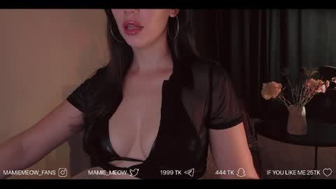 Snapshot of mamiemeow chatting on June 6, 5:23 am Your Miss Alice online show from June 6, 5:23 am