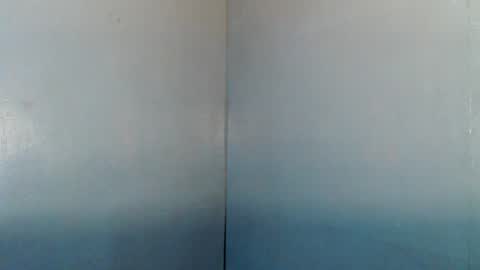 Snapshot of manualrein19 chatting on July 4, 2:12 pm rein online show from July 4, 2:12 pm