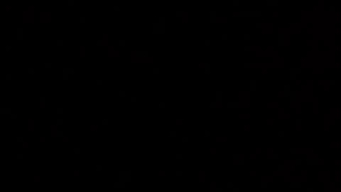 Elle online show from December 4, 2:10 am