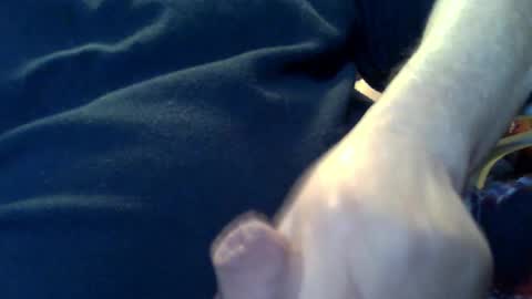 Snapshot of marko_th chatting on February 8, 11:19 pm marko_th online show from February 8, 11:19 pm