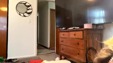 Snapshot of maroon_moon chatting on February 14, 4:09 pm maroon_moon online show from February 14, 4:09 pm