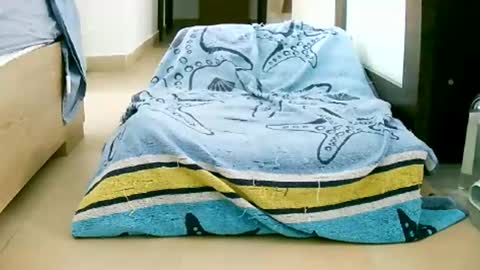 Snapshot of martinas_fantasies chatting on October 12, 10:58 am Play with me I obey I promise online show from October 12, 10:58 am