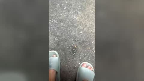 Slavyk online show from July 26, 8:32 am