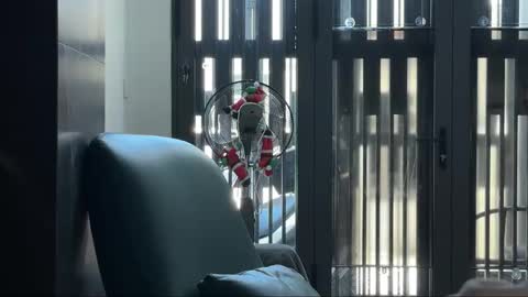 Telegram - FlyingDutchmana online show from March 27, 5:24 am