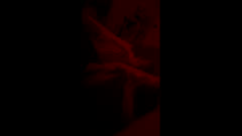 mas62491 online show from November 19, 10:59 am