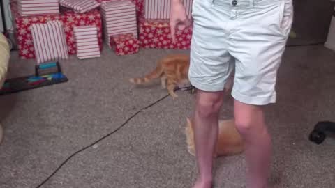 Snapshot of mattcashxxx chatting on December 26, 2:12 am Matt Cash online show from December 26, 2:12 am