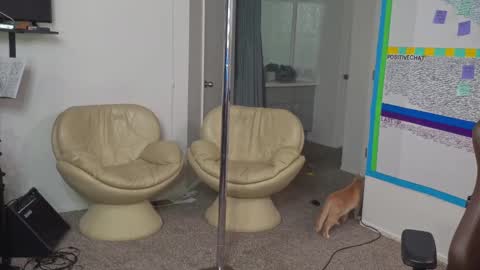 Snapshot of mattcashxxx chatting on January 10, 2:14 am Matt Cash online show from January 10, 2:14 am