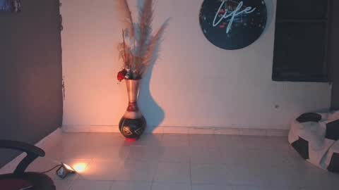 mattias     online show from January 24, 2:07 am
