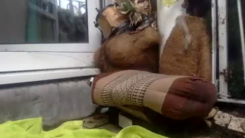 Snapshot of matureman1234 chatting on October 29, 10:06 am matureman1234 online show from October 29, 10:06 am