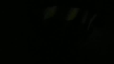 Lira online show from January 13, 11:04 am