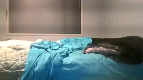 Snapshot of maximus_oreally chatting on June 4, 2:28 am Max online show from June 4, 2:28 am