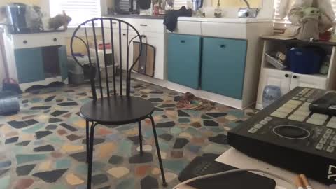 Snapshot of mdman32 chatting on February 28, 3:15 pm mdman32 online show from February 28, 3:15 pm