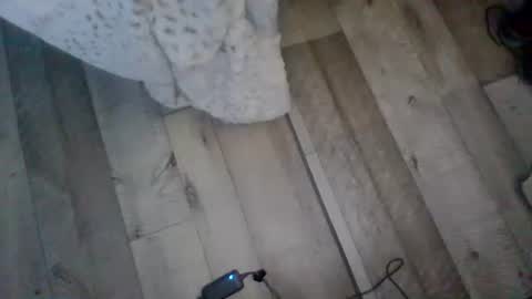 Snapshot of me_him_us_them chatting on November 19, 11:10 am me_him_us_them online show from November 19, 11:10 am