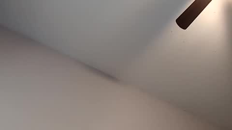 Jizzy online show from February 13, 3:30 pm