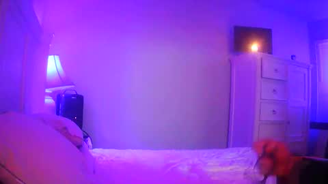 mecrago online show from January 14, 8:09 am