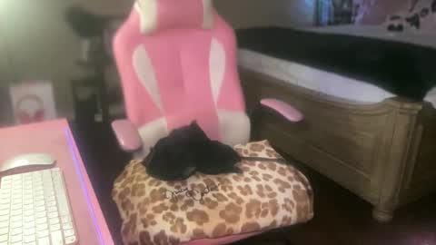 Snapshot of meetsouthernpeach chatting on September 27, 4:17 am Southern Peach online show from September 27, 4:17 am