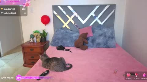 sofi online show from November 11, 2:06 pm