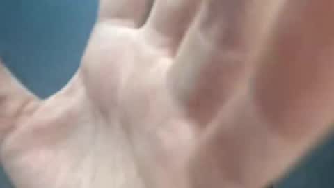 Megan and sophi online show from March 5, 2:07 am