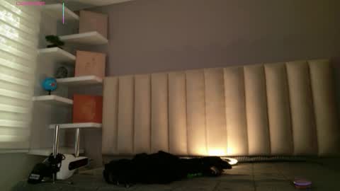     online show from February 10, 1:04 pm