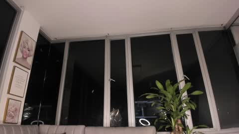 Snapshot of megann__sweet chatting on January 31, 10:42 am Mara online show from January 31, 10:42 am