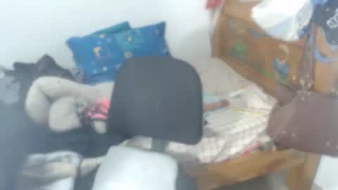 Snapshot of meganny_2023 chatting on May 16, 11:03 pm Danny online show from May 16, 11:03 pm