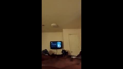 mel_hart_jr online show from April 8, 7:25 pm