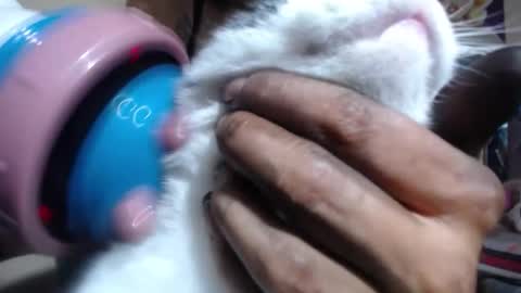 melany online show from November 6, 8:54 pm