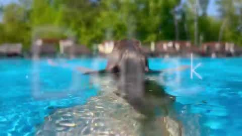 Snapshot of melanybunny chatting on February 28, 6:09 pm Adel online show from February 28, 6:09 pm