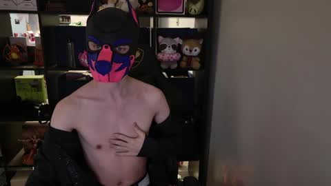 MellPUP online show from March 30, 1:45 pm