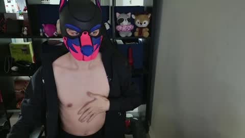 MellPUP online show from April 2, 5:21 pm