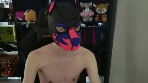 Snapshot of mellpup chatting on April 9, 9:31 pm MellPUP online show from April 9, 9:31 pm