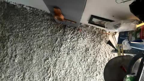 Snapshot of melodysnow chatting on January 5, 5:49 pm melodysnow online show from January 5, 5:49 pm