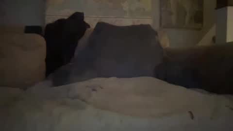 melt13 online show from January 1, 2:41 am