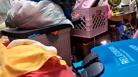 Snapshot of merelyalover chatting on February 26, 7:09 am gurlnips online show from February 26, 7:09 am