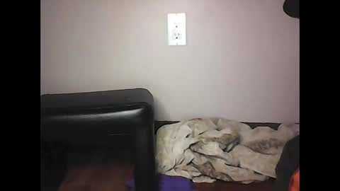 Snapshot of mi45419 chatting on November 2, 7:05 pm mi45419 online show from November 2, 7:05 pm