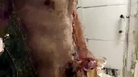 Snapshot of mickavis1975 chatting on December 14, 5:40 pm mickavis1975 online show from December 14, 5:40 pm