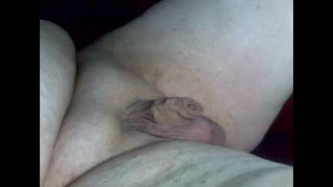 micropimmel online show from February 26, 8:30 pm